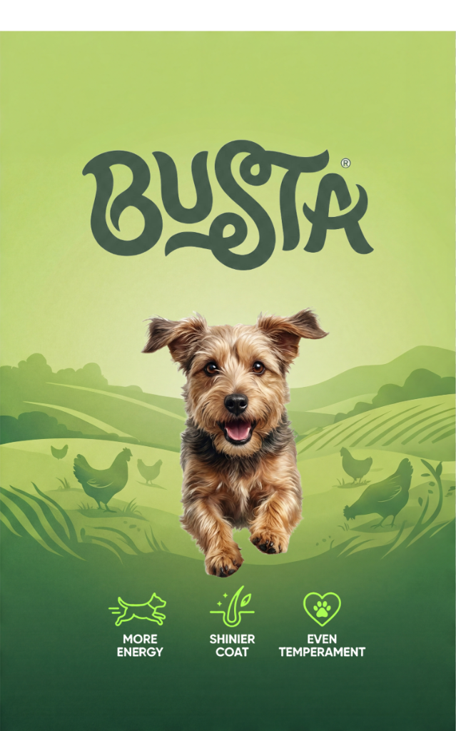 Composited Flat Artwork