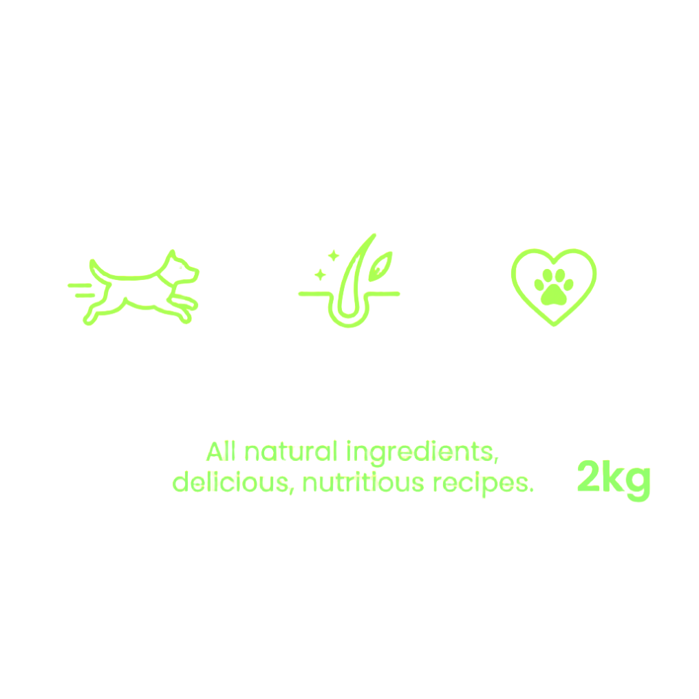 Icons and Text - Extracted